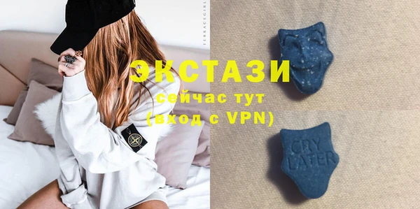 первитин Богданович