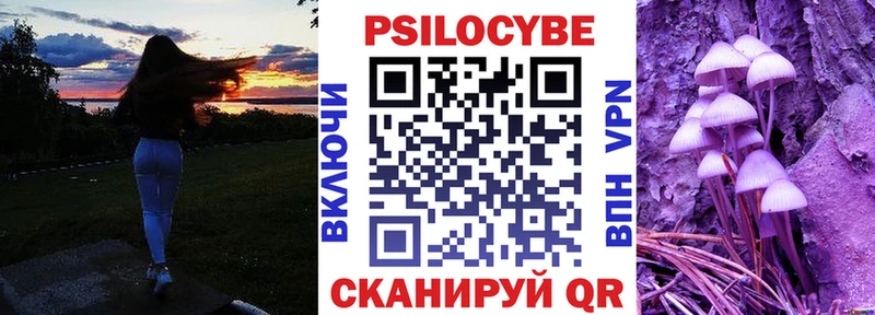 Псилоцибиновые грибы Psilocybe  Бологое 